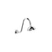Brodware Neu England Shower Rose & Arm