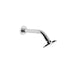Brodware City Stik Shower Rose & Arm