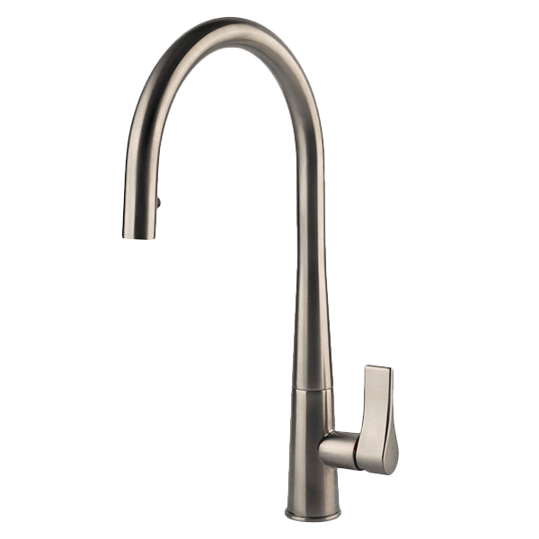 Proton Concealed Pull Out Kitchen Mixer