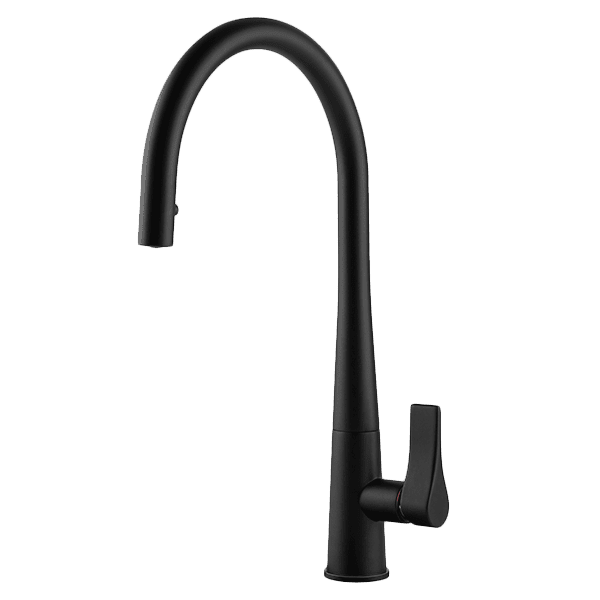 Proton Concealed Pull Out Kitchen Mixer