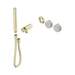 Nero Serenity Progressive Shower System With Carrara Handle And Slim Shower Trim Kit Only - Brushed Gold