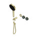 Nero Serenity Progressive Shower System With Verde Alpi Handle And Serenity Hand Shower Trim Kit Only - Brushed Gold