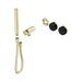 Nero Serenity Progressive Shower System With Marquina Black Handle And Slim Shower Trim Kit Only - Brushed Gold