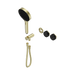 Nero Serenity Progressive Shower System With Marquina Black Handle And Serenity Hand Shower Trim Kit Only - Brushed Gold