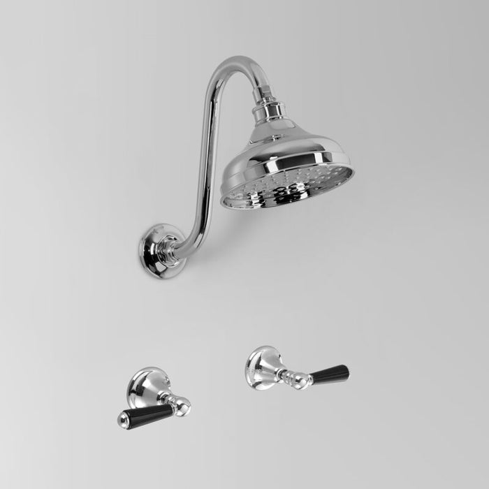 Astra Walker A51.10.11.BL Black Porcelain Lever