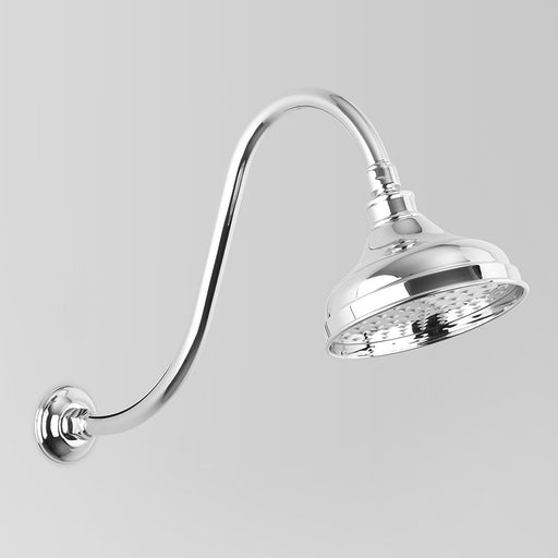 Astra Walker Olde English A51.10.11.V3.A Product Image