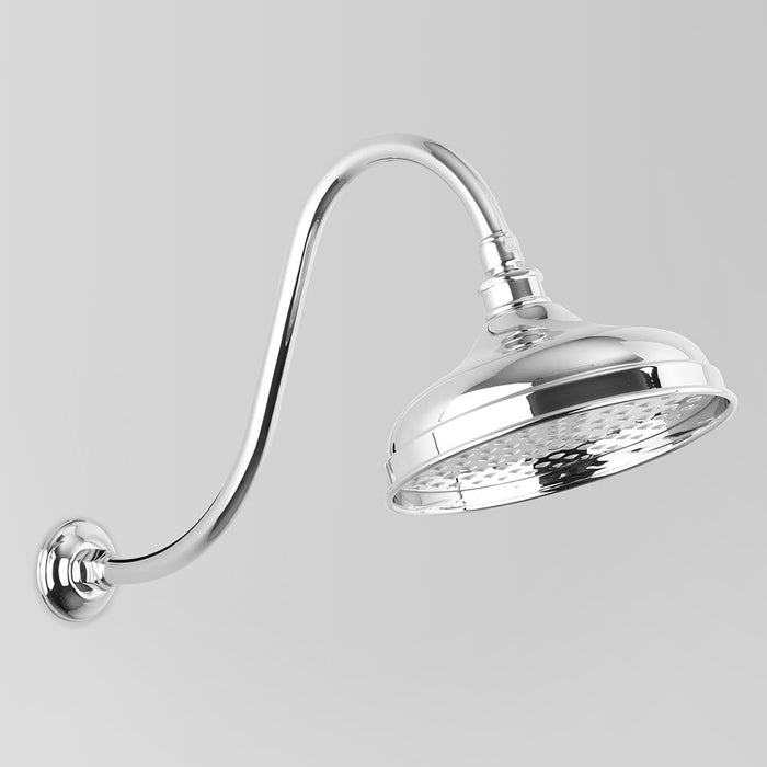 Astra Walker Olde English A51.10.11.V4.A Product Image
