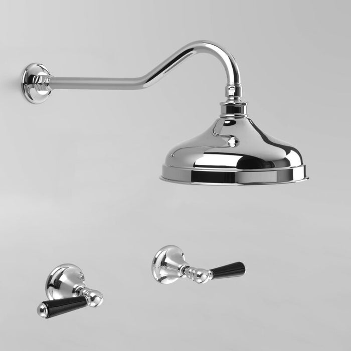 Astra Walker A51.11.V2.BL Black Porcelain Lever