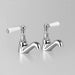 Astra Walker A51.40.PL White Porcelain Lever