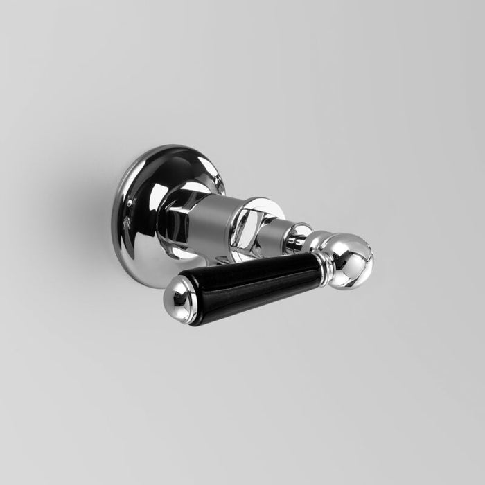 Astra Walker A51.45.BL Black Porcelain Lever