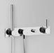 Astra Walker Icon + Lever Wall Set with Hand Shower & Mixer – A67.48.42.V4.LH