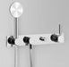 Astra Walker Icon + Lever Wall Set with Single-Function Hand Shower & Mixer – A67.48.42.V5.M.LH