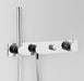 Astra Walker Icon Wall Mixer Set with Hand Shower & Diverter on Backplate – A69.48.42.V4