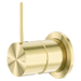 Nero Mecca Shower Mixer 60mm Handle Up Plate - Brushed Gold