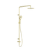 Nero Mecca Care 25mm Grab Rail 900mm Twin Shower Set - Brushed Gold