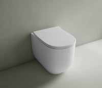 Wall Faced Toilets